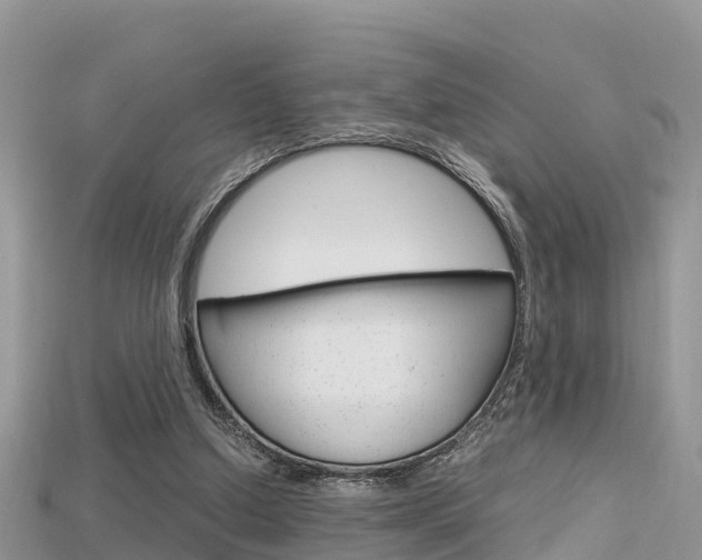 X0000115680250200911120953