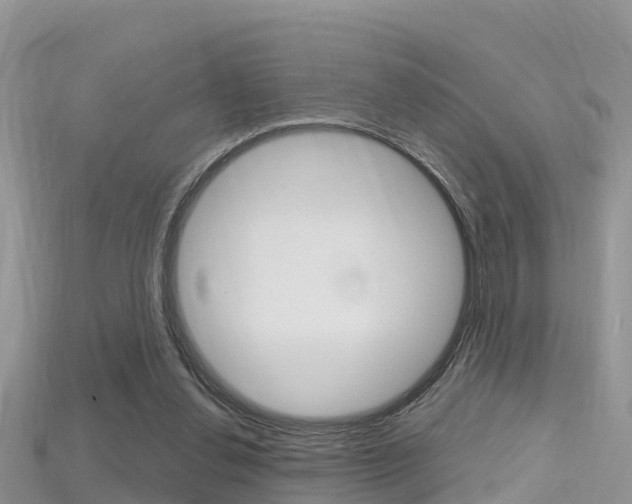 X0000115680252200911120953