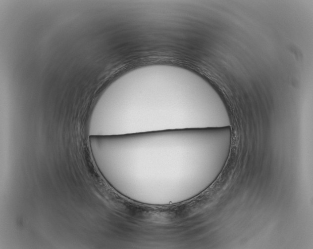 X0000115680255200911120953