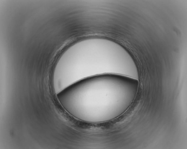 X0000115680256200911120953