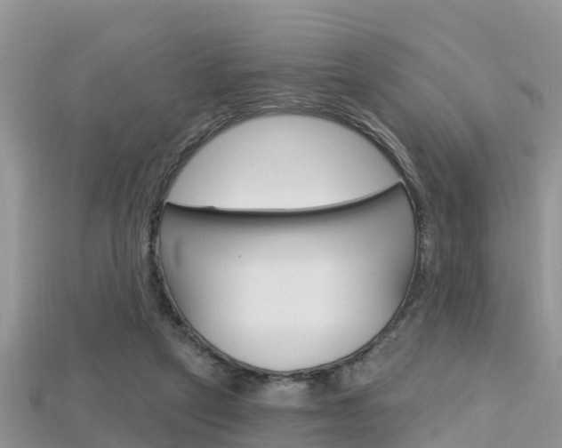 X0000115680257200911120953