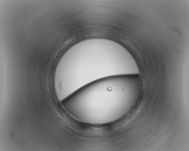 X0000115680260200911120953