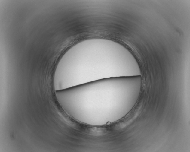 X0000115680261200911120953