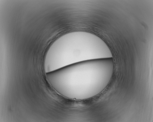 X0000115680262200911120953