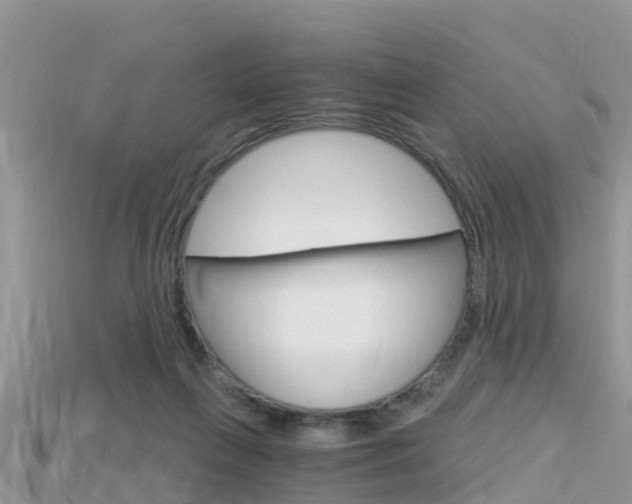 X0000115680263200911120953