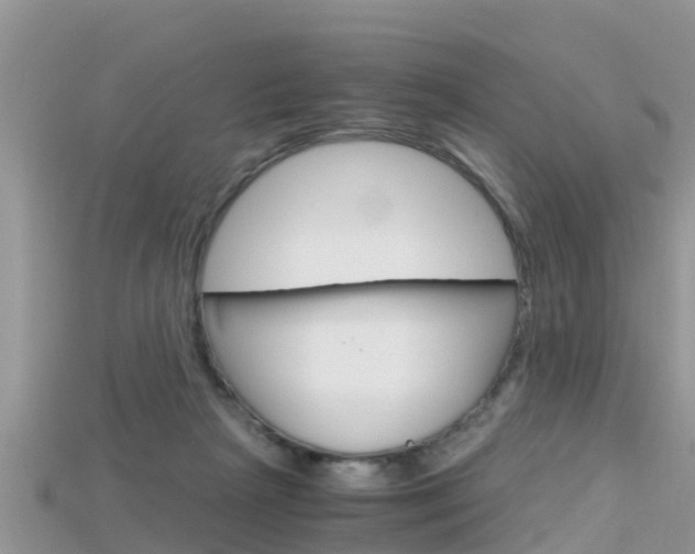 X0000115680265200911120953