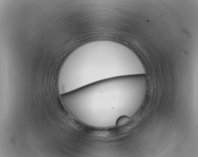 X0000115680266200911120953