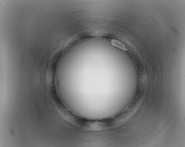 X0000115680268200911120953