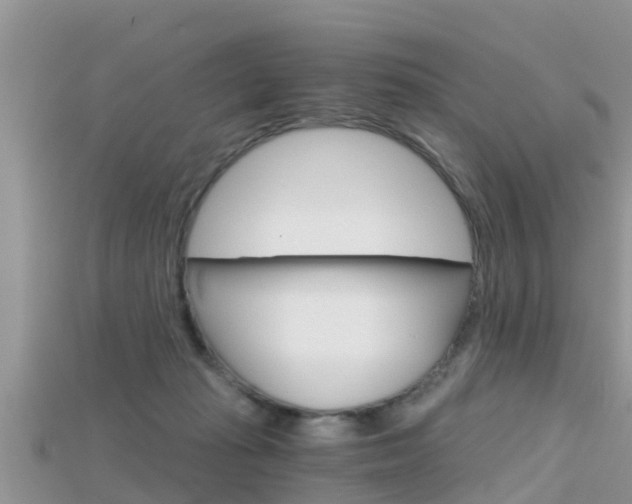 X0000115680269200911120953