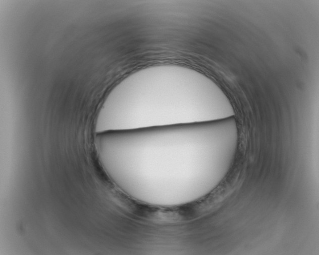 X0000115680270200911120953