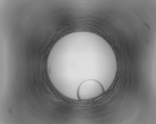 X0000115680272200911120953