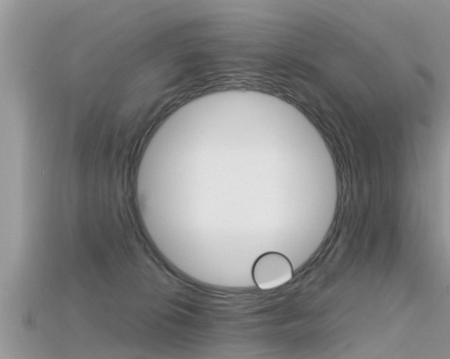 X0000115680276200911120953