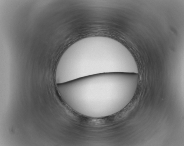 X0000115680277200911120953
