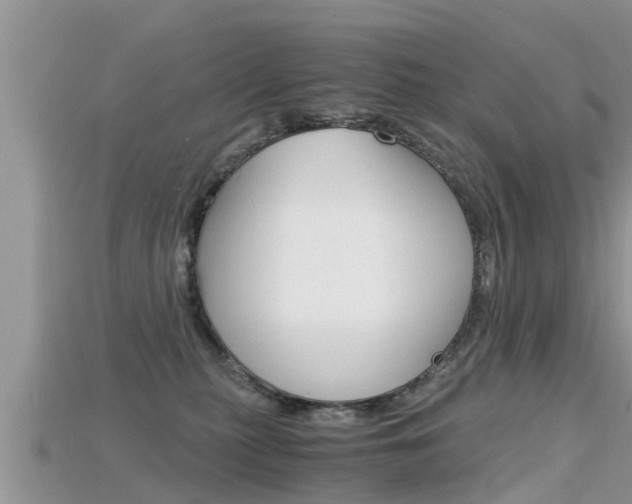 X0000115680279200911120953