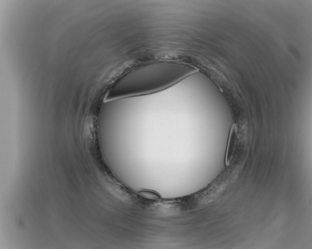X0000115680280200911120953