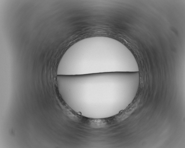 X0000115680281200911120953