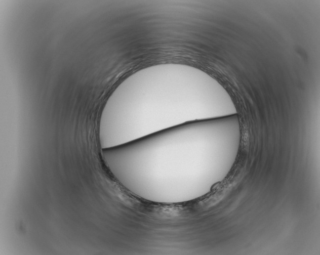 X0000115680282200911120953