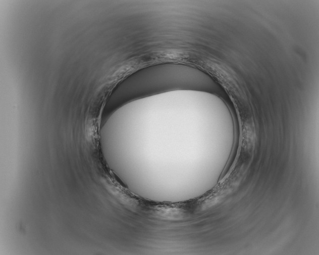 X0000115680284200911120953