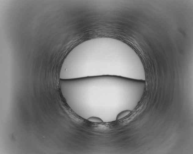 X0000115680285200911120953