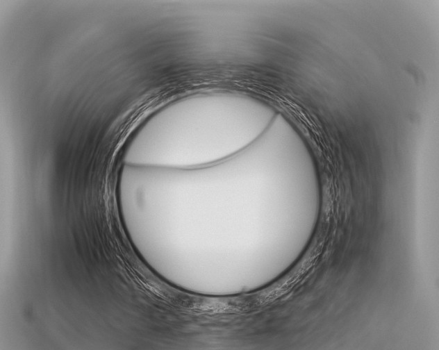 X0000115680290200911120952