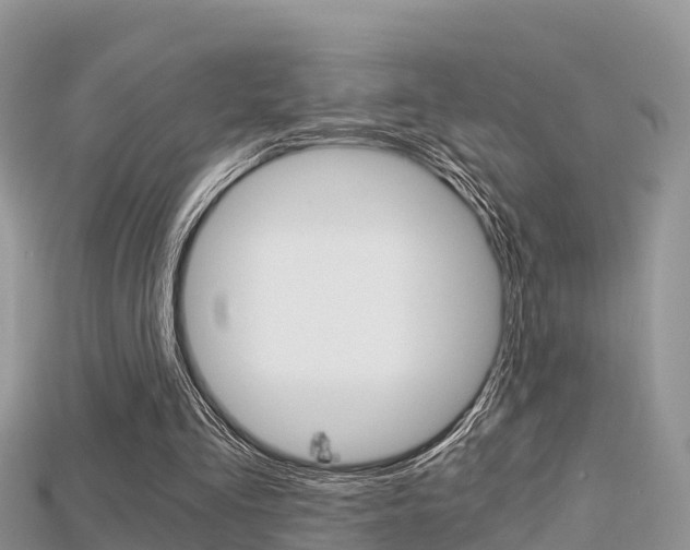 X0000115680293200911120952