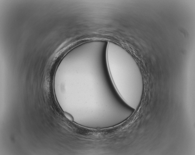 X0000115680295200911120952