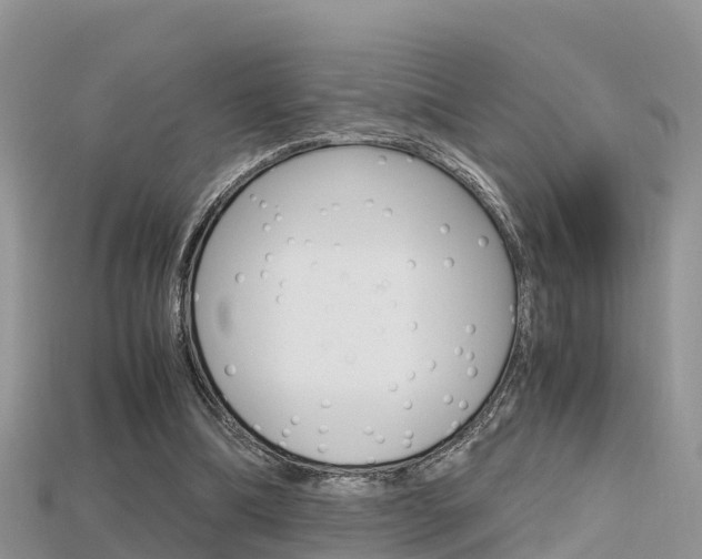 X0000115680298200911120952