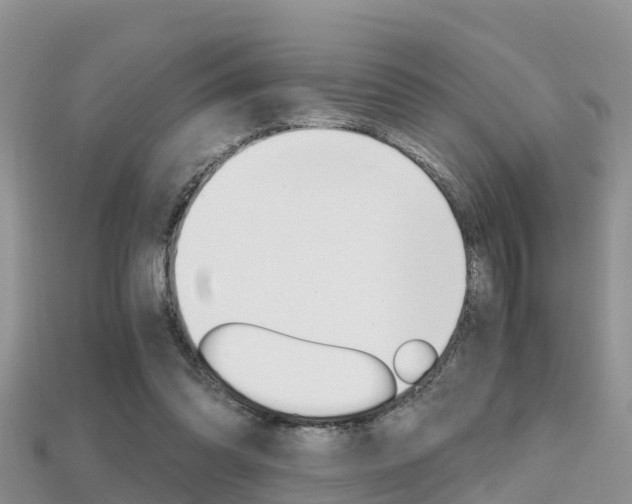 X0000115680302200911120952