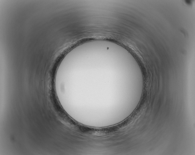 X0000115680303200911120952