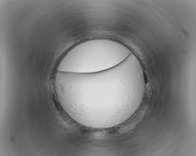X0000115680306200911120952