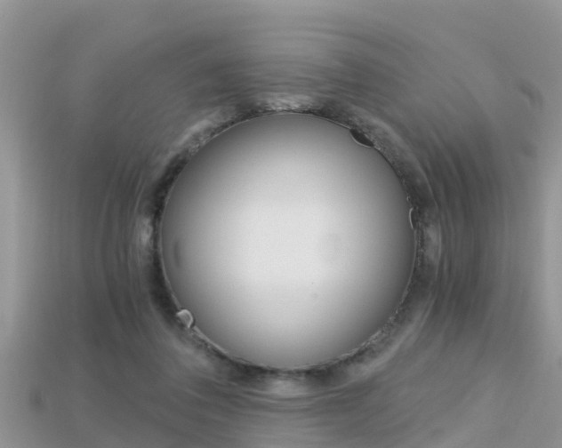 X0000115680308200911120952