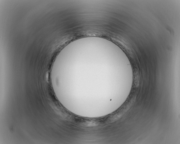 X0000115680310200911120952