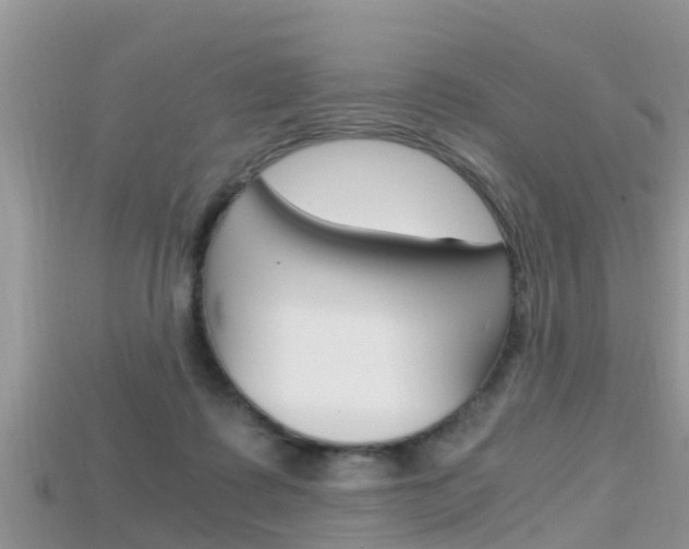 X0000115680315200911120952