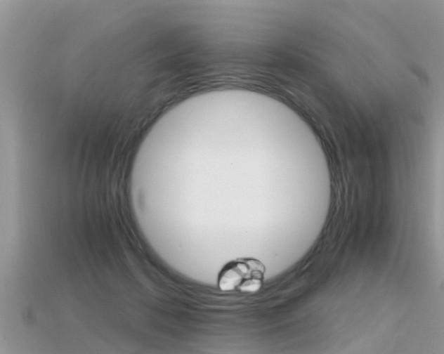 X0000115680316200911120952