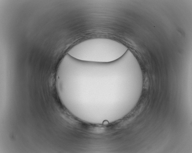 X0000115680318200911120952