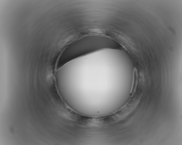 X0000115680320200911120952