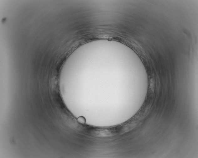 X0000115680322200911120952