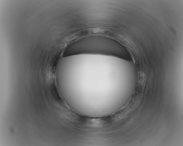 X0000115680324200911120952