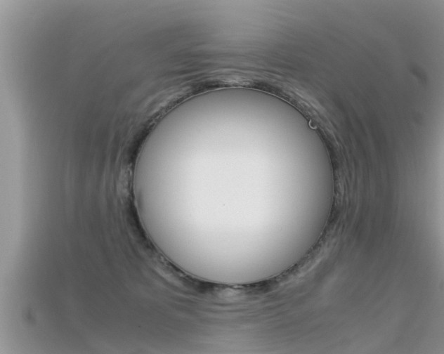 X0000115680325200911120952