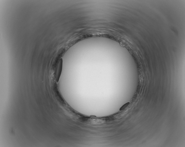X0000115680327200911120952