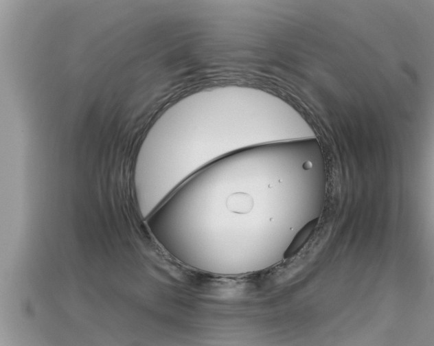 X0000115680328200911120952
