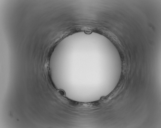 X0000115680329200911120952