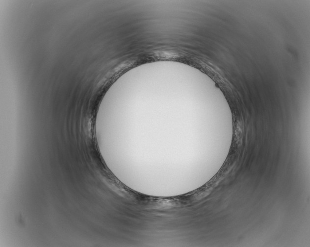 X0000115680330200911120952