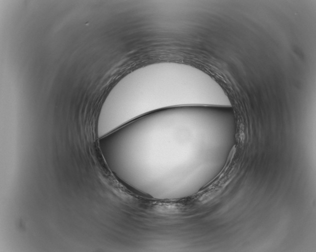 X0000115680332200911120952