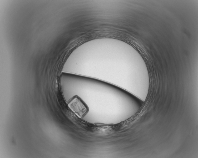 X0000115680333200911120952