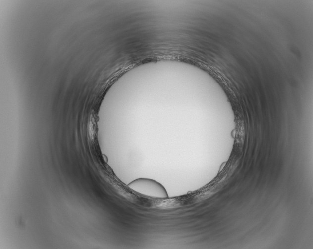 X0000115680334200911120952