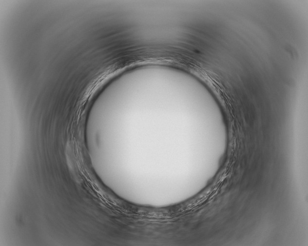 X0000115680337200911120951