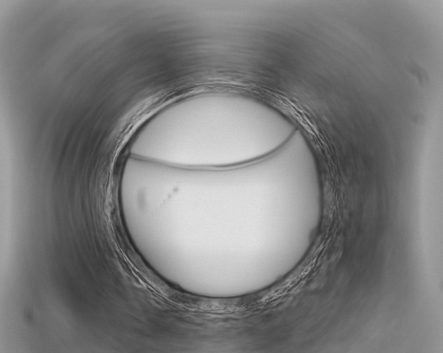 X0000115680338200911120951