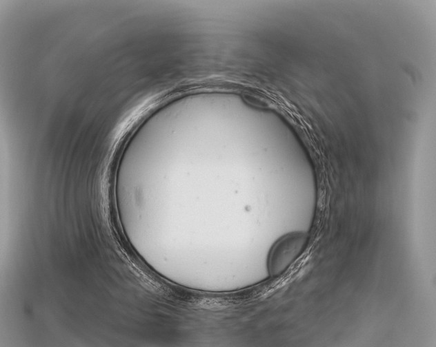 X0000115680341200911120951