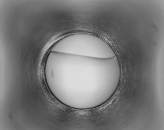 X0000115680343200911120951